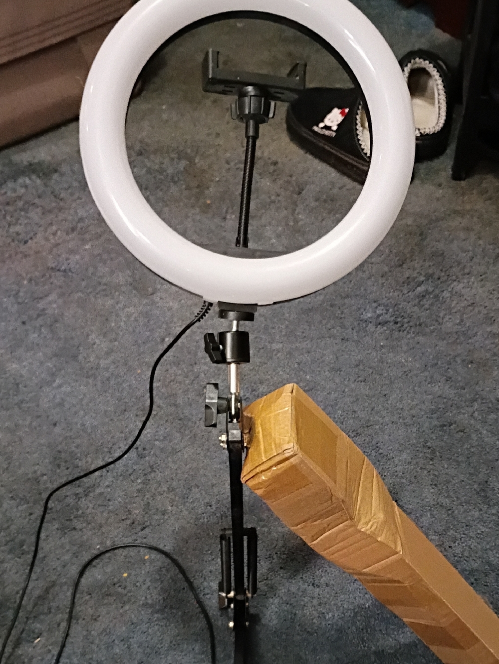 LED Ring Light with Phone Mount - White and Black